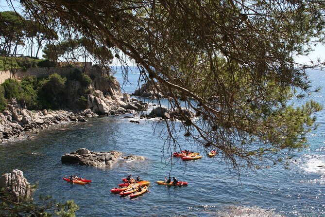 Costa Brava Guided Kayak and Snorkeling Excursion in Playa de Aro - A 2-Hour Kayak + Snorkeling Plan That Feels Just Right in Costa Brava
