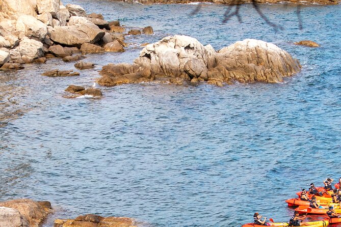 Costa Brava Guided Kayak and Snorkeling Excursion in Playa de Aro - Snorkeling Stops in Clear Mediterranean Water: What You Might See