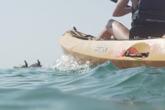 Costa Brava: Kayak, Snorkel, Photos, Lunch, Beach & Cliff Jump! - What to Bring (So You Don’t Spend the Day Uncomfortable)