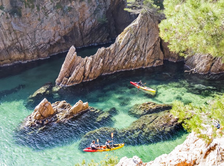 Costa Brava: Sea Caves Kayaking and Snorkeling Tour - Key things I’d zero in on