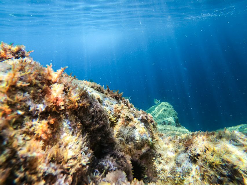 Costa Brava: Sea Caves Kayaking and Snorkeling Tour - Second paddle: seeing the coast again, with fresh eyes