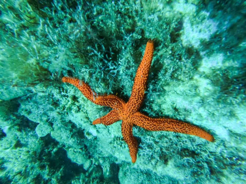 Costa Brava: Sea Caves Kayaking and Snorkeling Tour - What to bring so you feel good on the water