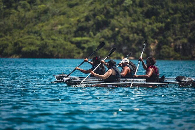 Crystal Kayak & Snorkel Eco Tour (with transfer) - Quick take: what makes this tour tick