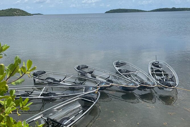 Crystal Kayak & Snorkel Eco Tour (with transfer) - Entering Antigua’s calm bays with glass kayak views