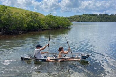 Crystal Kayak & Snorkel Eco Tour (with transfer) - What you’re actually looking for: mangroves, seabed life, and small surprises