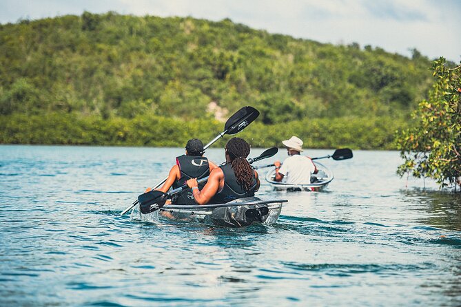 Crystal Kayak & Snorkel Eco Tour (with transfer) - Transfers and meeting point: making it easy from the start