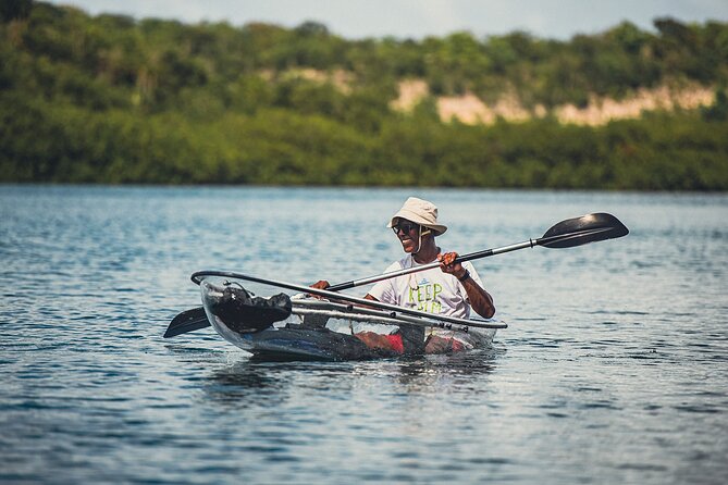 Crystal Kayak & Snorkel Eco Tour (with transfer) - Value at $89: why the price can make sense (or not)