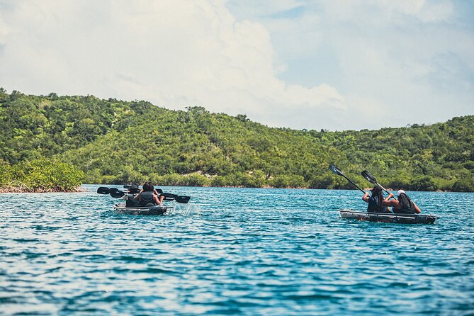 Crystal Kayak & Snorkel Eco Tour (with transfer) - A realistic packing and comfort checklist