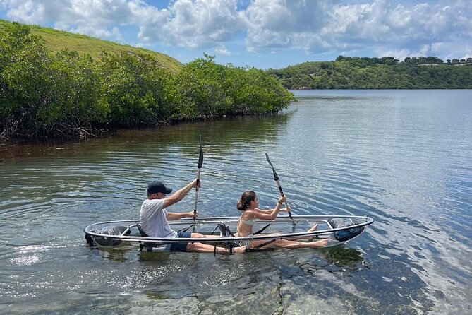 Crystal Kayak & Snorkel Eco Tour (with transfer) - What you’re actually looking for: mangroves, seabed life, and small surprises