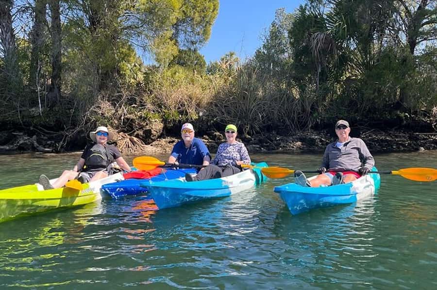 Crystal River: Guided Kayak Tour with Manatee Encounters - Kings Bay manatees: why kayaking feels more real than watching