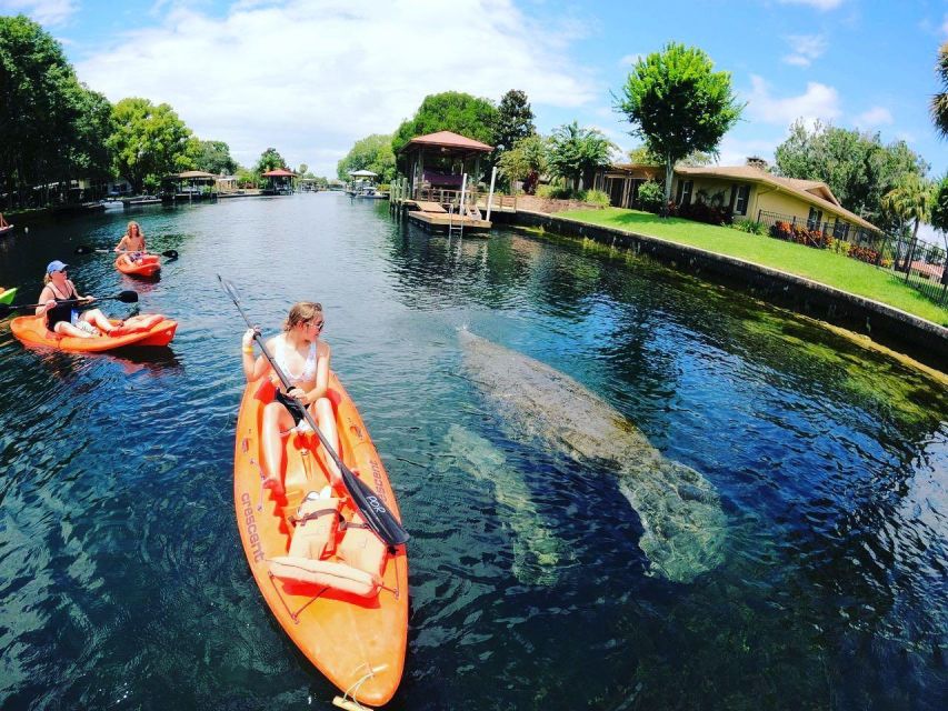 Crystal River: Kayak Rental - Key things to know before you paddle
