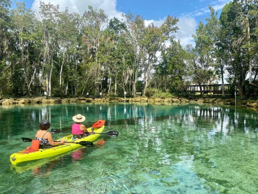 Crystal River: Kayak Rental - Should you book Crystal River: Kayak Rental?
