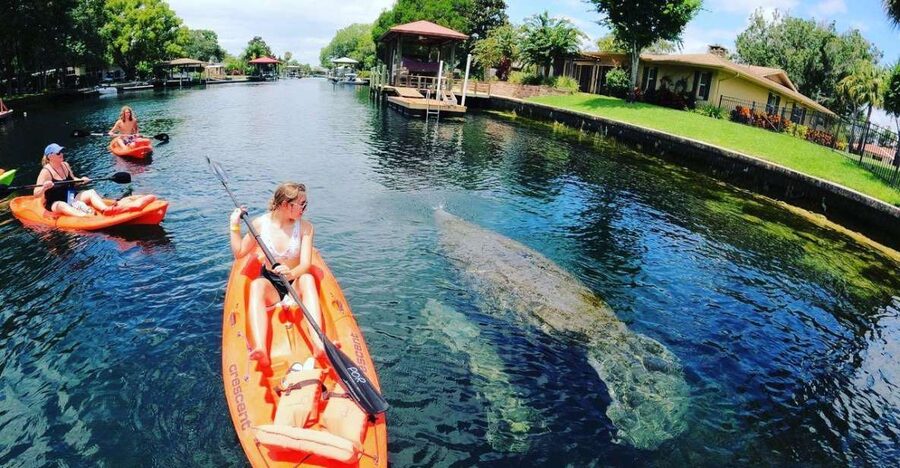 Crystal River: Kayak Rental - Why a Crystal River kayak rental beats a fixed boat tour