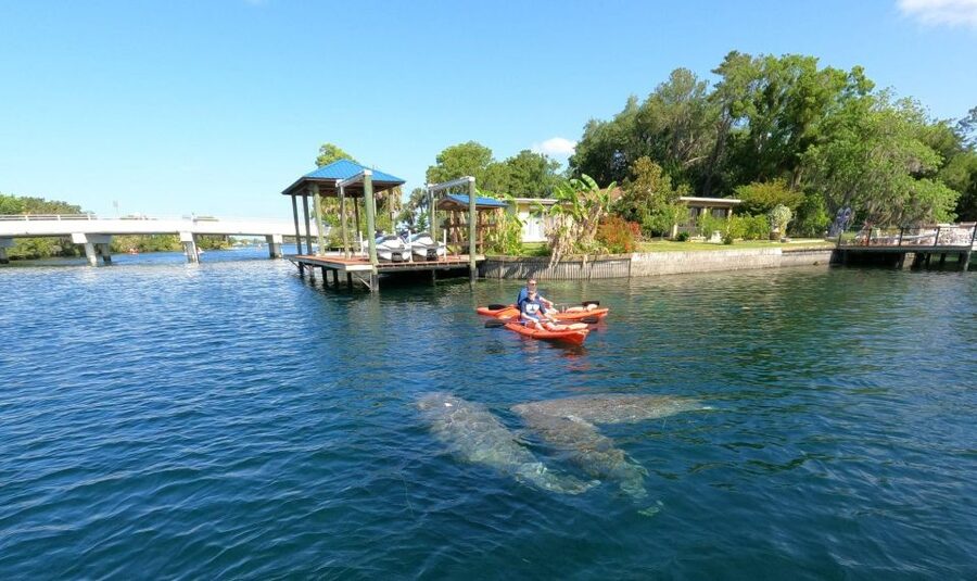 Crystal River: Kayak Rental - Paddling toward King’s Bay: the route that turns into your own adventure