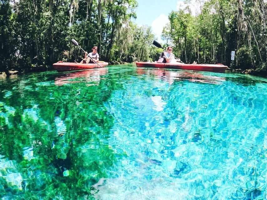 Crystal River: Kayak Rental - Three Sisters Springs: where the water turns into your best camera