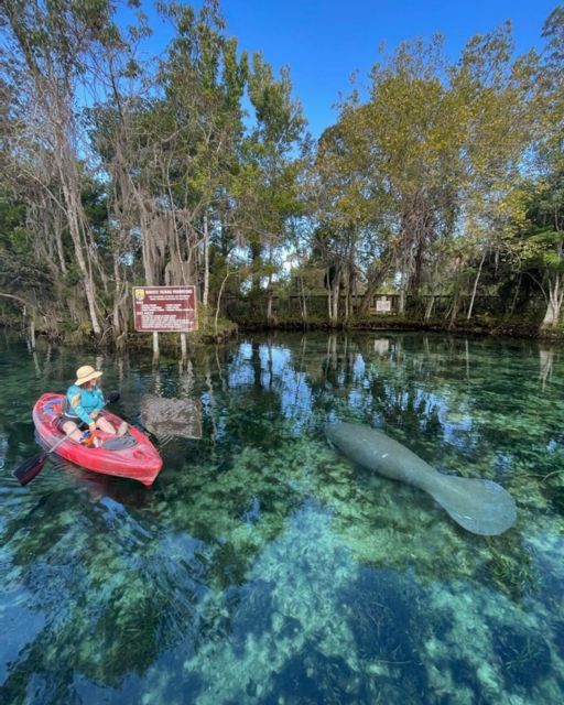 Crystal River: Kayak Rental - What to bring: the small items that prevent a soggy, sunburned day
