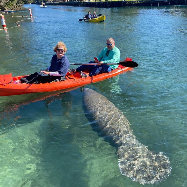 Crystal River: Kayak Rental - Who should book this kayak rental—and who should skip it