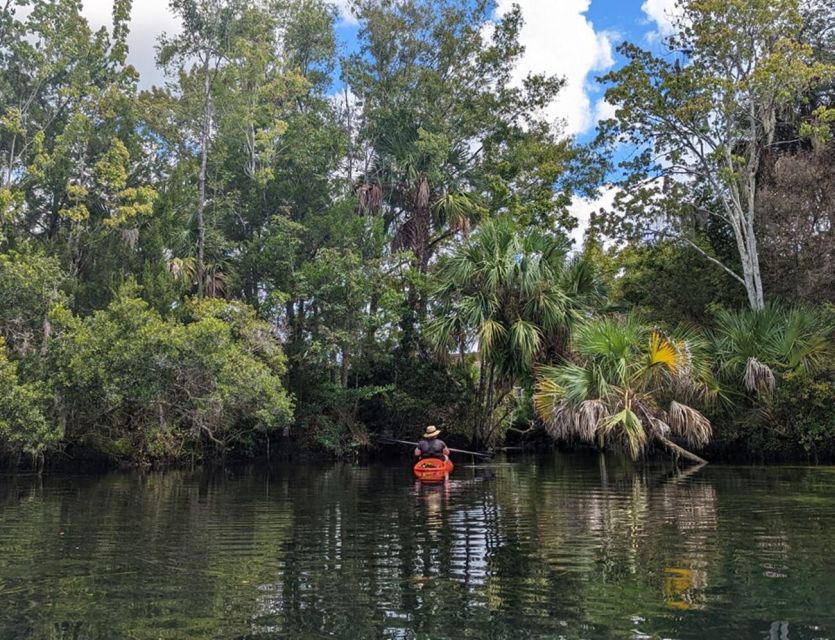 Crystal River: Kayak Rental - From Pete’s Pier Marina to the launch dock: setup you’ll actually use