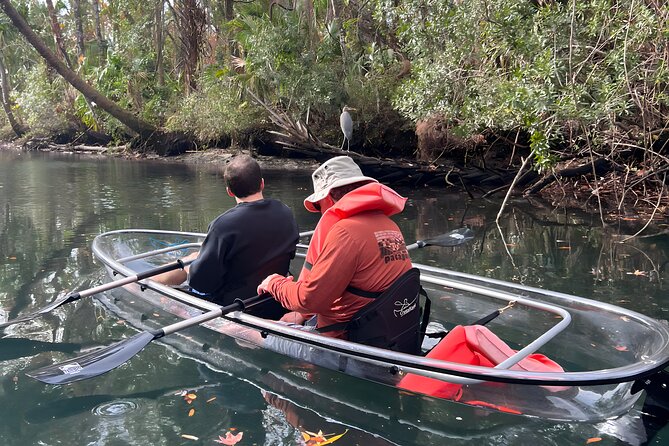 Crystal River Sunset Glow Clear Kayak Manatee Tour Free Photos - Crystal River at golden hour: what the sunset glow adds