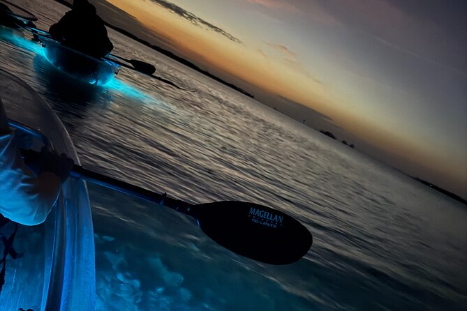Crystal River Sunset Glow Clear Kayak Manatee Tour Free Photos - Paddling for 2.5 hours: comfort tips that actually help
