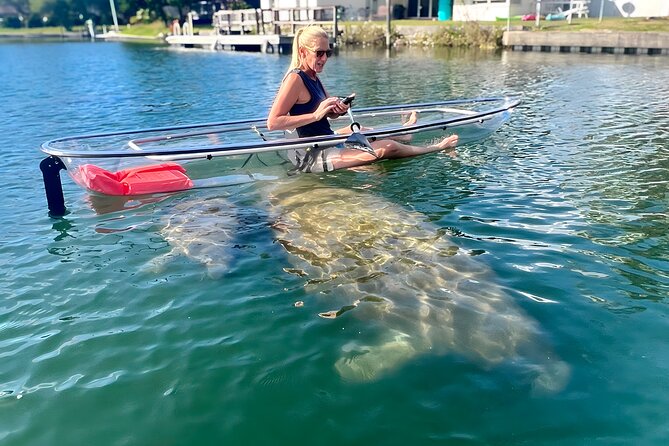 Crystal River: Three Sisters Manatee Clear Kayak Tour Free Photos - Quick, useful highlights (before you book)