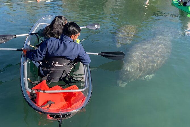 Crystal River: Three Sisters Manatee Clear Kayak Tour Free Photos - Crystal River in winter: why Kings Bay and Three Sisters get all the attention