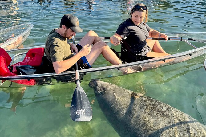 Crystal River: Three Sisters Manatee Clear Kayak Tour Free Photos - The 2-hour plan: what the paddle time feels like on Kings Bay