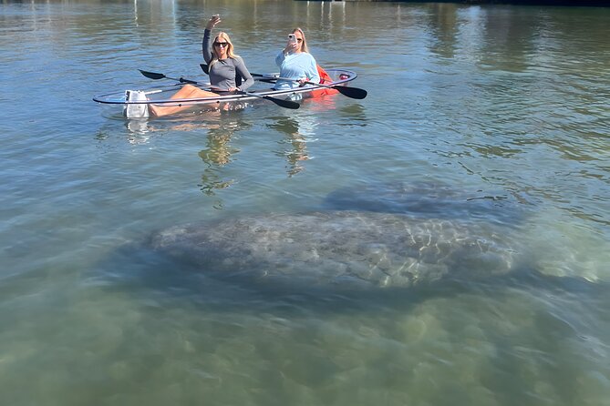 Crystal River: Three Sisters Manatee Clear Kayak Tour Free Photos - Guides who help you spot manatees (and keep things respectful)