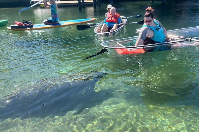Crystal River: Three Sisters Manatee Clear Kayak Tour Free Photos - What you get for $79: kayak, gear, and the free photo package