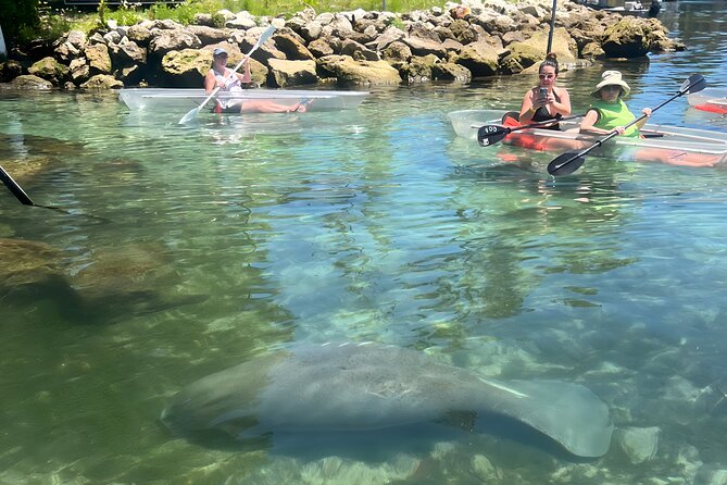 Crystal River: Three Sisters Manatee Clear Kayak Tour Free Photos - What to wear and bring: simple steps that prevent cold misery