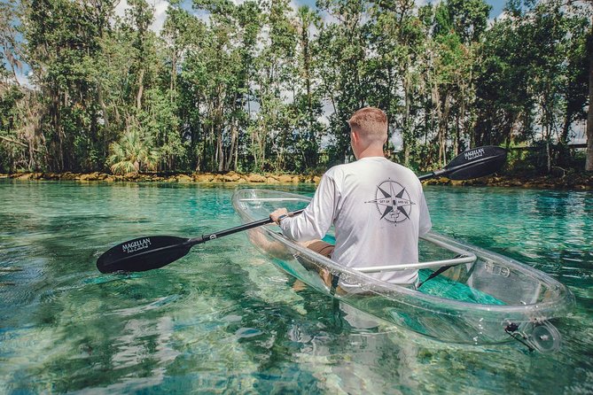 Crystal River Three Sisters Springs and Manatee Clear Kayak Tours - Crystal River from the bottom up in a clear kayak