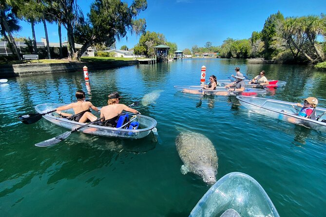 Crystal River Three Sisters Springs and Manatee Clear Kayak Tours - Stop: Three Sisters Springs paddling and the swim moment