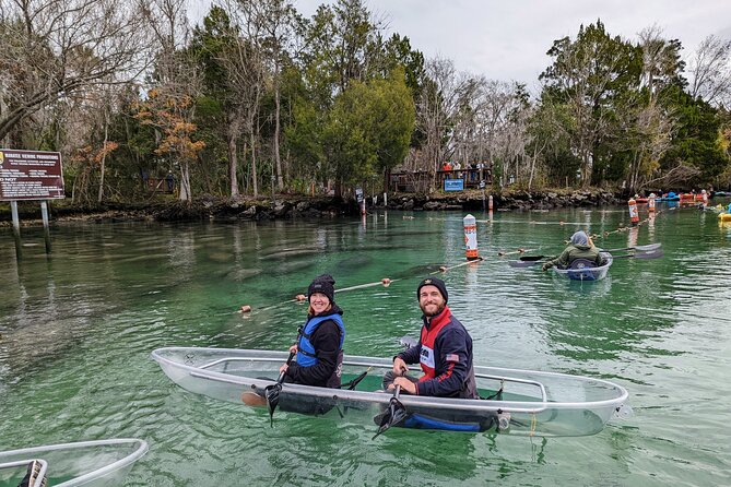 Crystal River Three Sisters Springs and Manatee Clear Kayak Tours - Manatee season paddling: spotting them above and below you