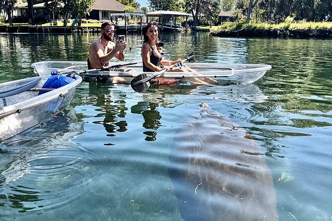Crystal River Three Sisters Springs and Manatee Clear Kayak Tours - Guides and comfort: stable kayaks, calm instruction, and accommodations