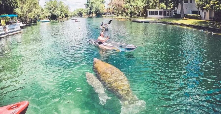 Crystal River: Three Sisters Springs Eco Tour by Clear Kayak - Who This Tour Fits Best (and Who Should Skip It)