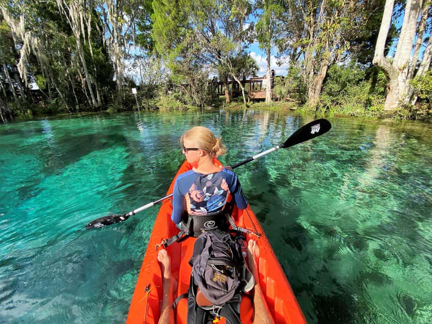 Crystal River:Three Sisters Springs Guided Kayak & Swim Tour - Key things I’d bet you’ll notice fast