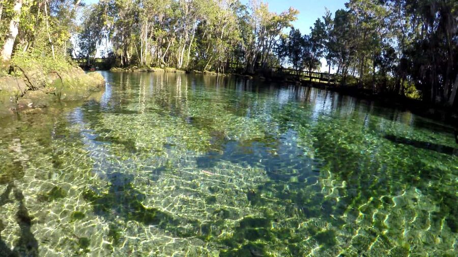 Crystal River:Three Sisters Springs Guided Kayak & Swim Tour - Crystal River: why Three Sisters Springs feels special