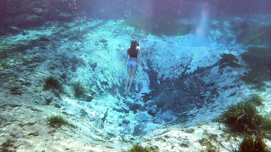 Crystal River:Three Sisters Springs Guided Kayak & Swim Tour - Once you reach the springs: snorkeling and the 72-degree swim
