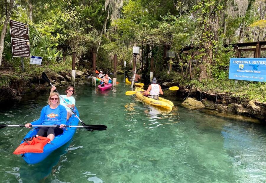 Crystal River:Three Sisters Springs Guided Kayak & Swim Tour - Who this tour suits best (and who should skip it)