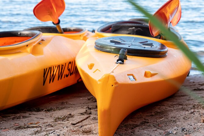 Cultural kayak tour in Stralsund - Guides Who Teach: The Human Touch That Makes the History Stick