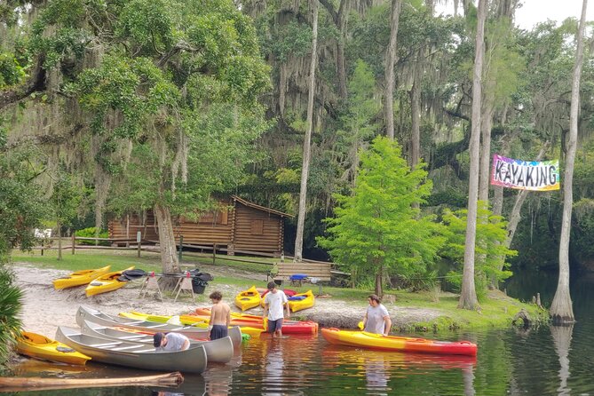 Cypress Forest: Guided Nature Kayak Eco-Tour - Currents and control: what to know if you’re nervous