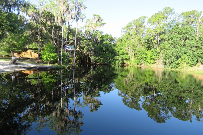 Cypress Forest: Guided Nature Kayak Eco-Tour - The first paddle: Shingle Creek’s headwaters and quick instruction