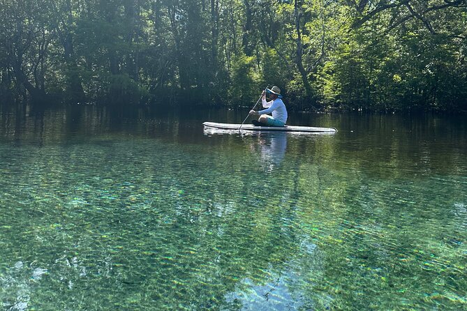 Cypress Springs Paddle Board & Kayak Eco Tour - Key points before you go
