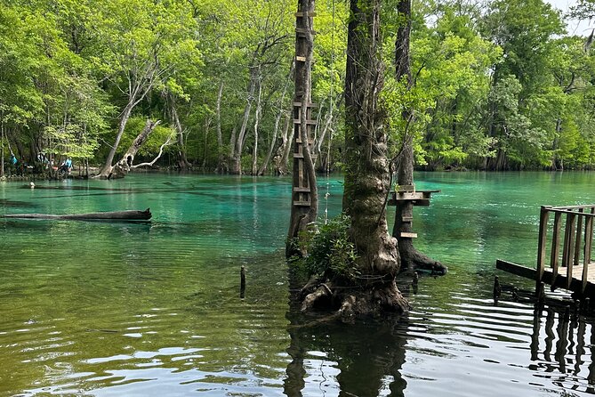 Cypress Springs Paddle Board & Kayak Eco Tour - How the day runs: meeting point, drive time, and realistic schedule