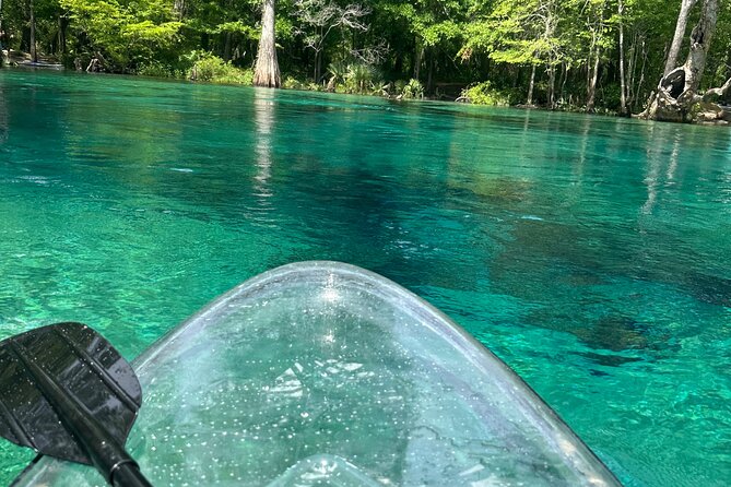 Cypress Springs Paddle Board & Kayak Eco Tour - Spring time: swimming and snorkel, with gear handled for you