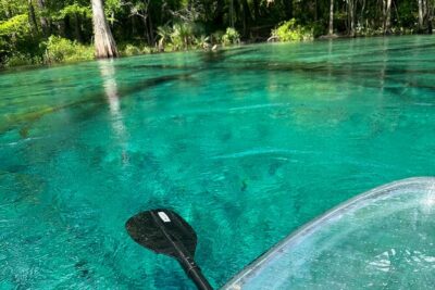 Cypress Springs Paddle Board & Kayak Eco Tour - Upstream paddle to the spring: the part where you work a little