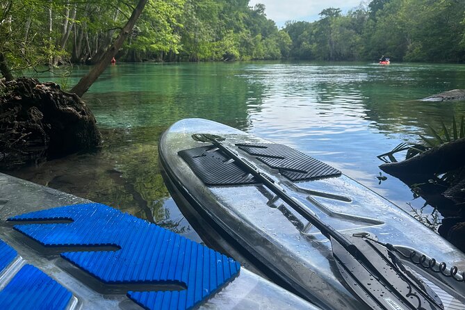 Cypress Springs Paddle Board & Kayak Eco Tour - Gear and included essentials: what you don’t have to carry