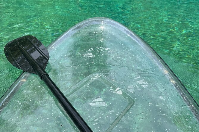 Cypress Springs Paddle Board & Kayak Eco Tour - Lunch included: why a ham or turkey sandwich matters on the water