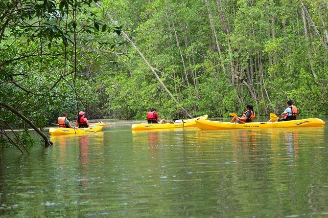 Damas Island Mangrove Kayaking Tour from Manuel Antonio - Key things to know before you go