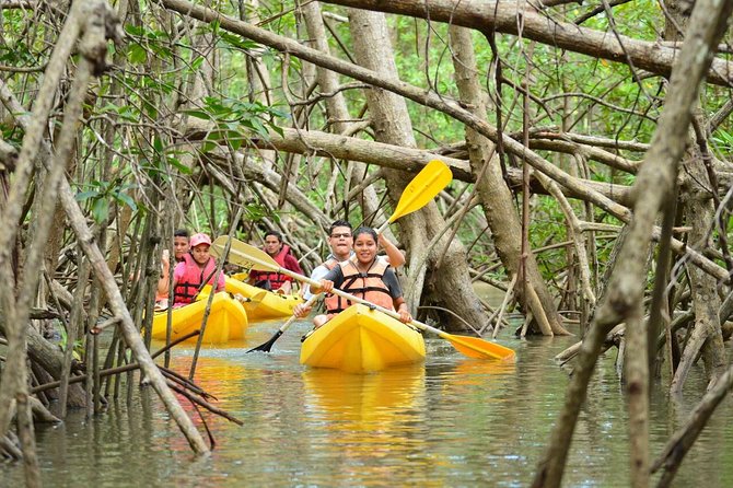 Damas Island Mangrove Kayaking Tour from Manuel Antonio - Isla Damas Mangroves: The real reason to paddle
